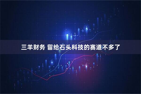 三羊财务 留给石头科技的赛道不多了