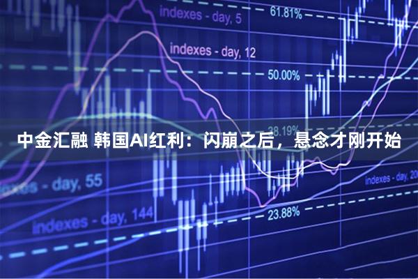中金汇融 韩国AI红利：闪崩之后，悬念才刚开始